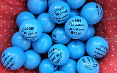 Jubiläums-Vereinsturnier am 22. Juni 2025